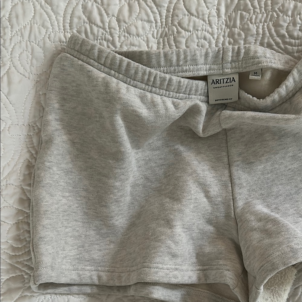 Aritzia Sweat Shorts WORN ONCE